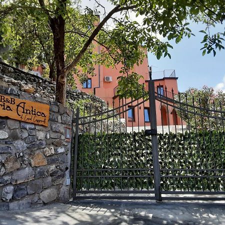 B&B Aria Antica Verbicaro Eksteriør bilde